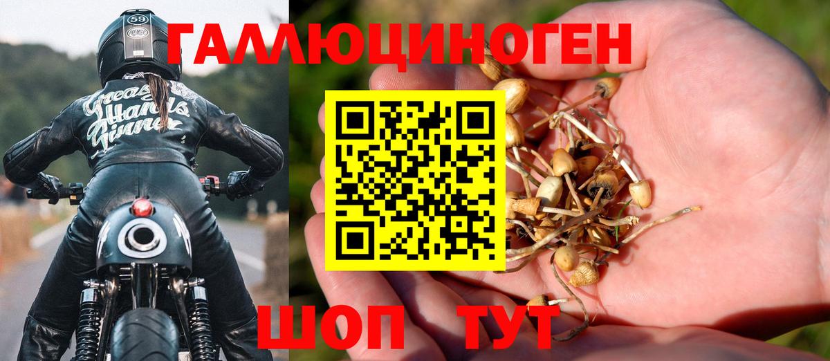 купить наркотик  Псилоцибиновые грибы MAGIC MUSHROOMS  Вход с VPN  Псилоцибиновые грибы Psilocybine cubensis  Сочи 