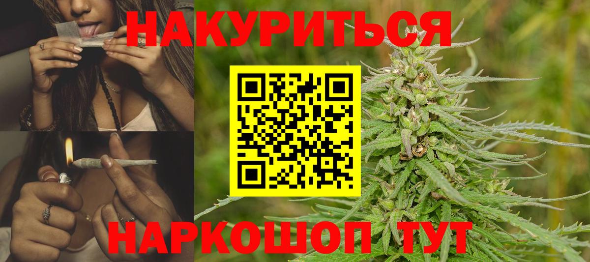 Шишки марихуана планчик Сочи